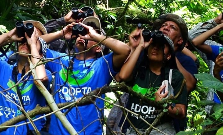 Birdwatching-1 (1)