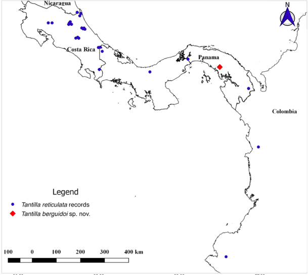 Mapa de distribución de Tantilla berguidoi