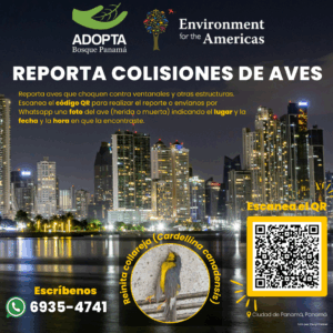 ALA Reporte Colisión